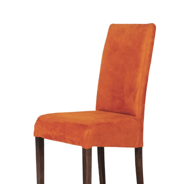 stolica-rudi
